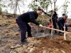植樹造林 共建“綠色寧德”