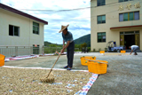 赤溪黃田：花生豐收季 農(nóng)戶笑開顏