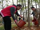 軍地?cái)y手共“樹(shù)”美好未來(lái)